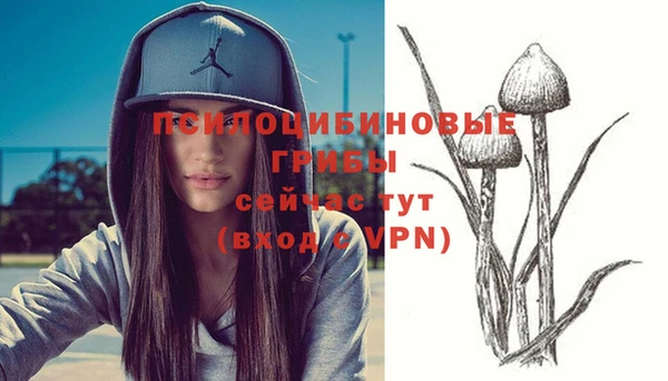 мет Верея