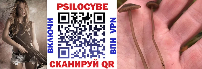 MEGA как войти Орехово-Зуево Псилоцибиновые грибы GOLDEN TEACHER